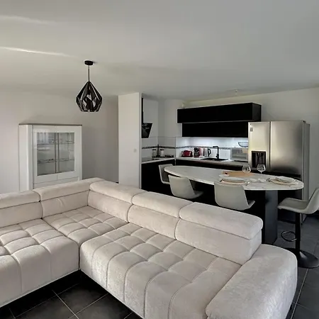 公寓 Beautiful With Terrace In 科尔马